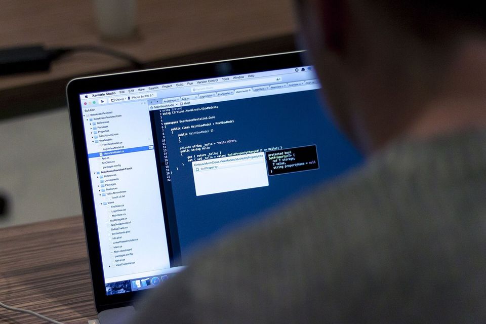 Person working on a laptop showing a spreadsheet and code
