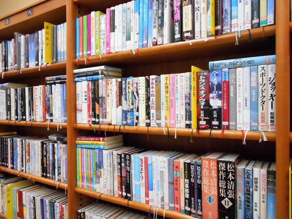 Library shelves packed with books of every colour