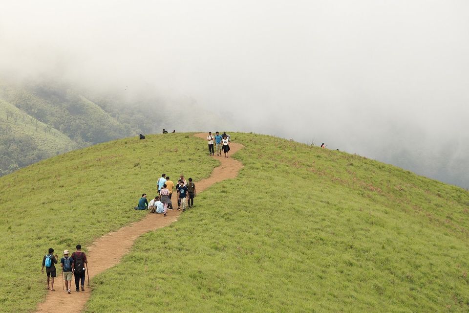 Hikers with backpacks walking along a green ridge